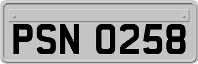 PSN0258