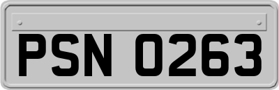 PSN0263
