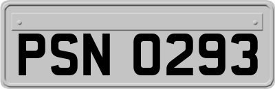 PSN0293