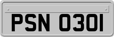 PSN0301