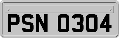 PSN0304