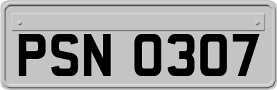 PSN0307