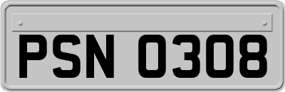 PSN0308