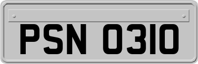 PSN0310