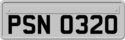 PSN0320