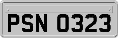 PSN0323