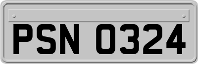 PSN0324