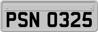 PSN0325