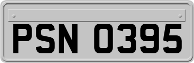 PSN0395