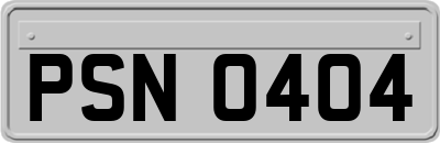 PSN0404