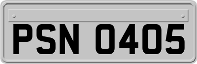PSN0405