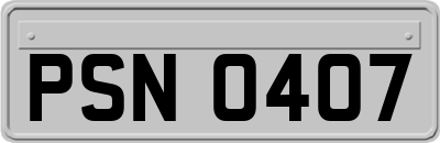 PSN0407