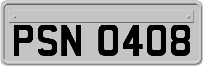 PSN0408