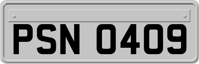 PSN0409
