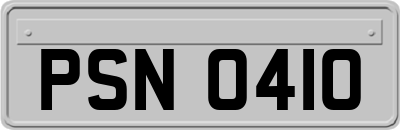 PSN0410