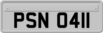 PSN0411
