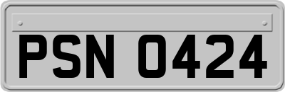 PSN0424