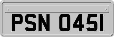 PSN0451