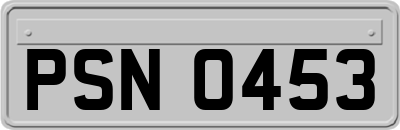 PSN0453