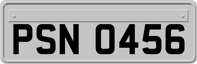 PSN0456