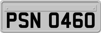 PSN0460