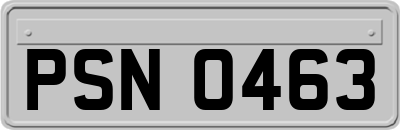 PSN0463