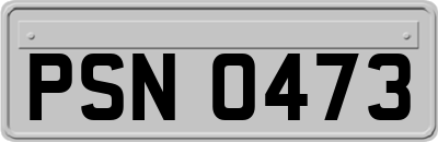 PSN0473