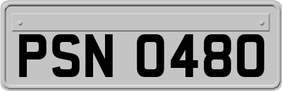 PSN0480