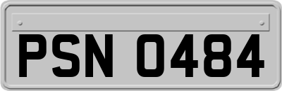 PSN0484