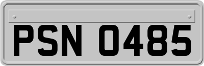 PSN0485
