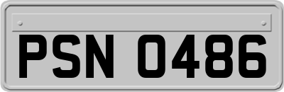PSN0486