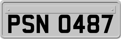 PSN0487