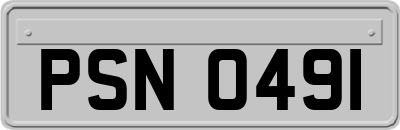 PSN0491