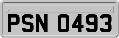 PSN0493