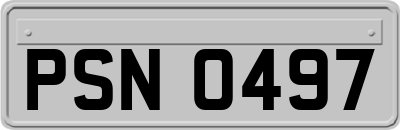 PSN0497