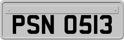 PSN0513