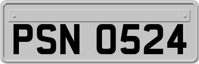 PSN0524
