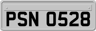 PSN0528