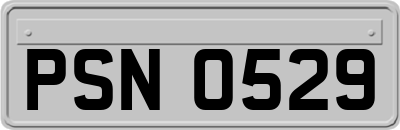 PSN0529