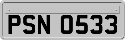 PSN0533