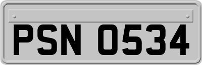 PSN0534