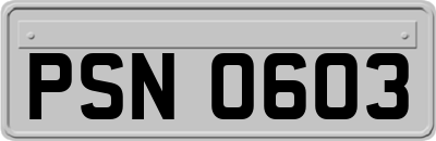 PSN0603