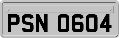 PSN0604