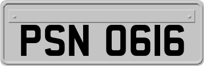 PSN0616