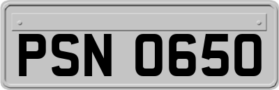 PSN0650
