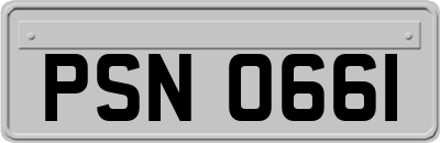 PSN0661