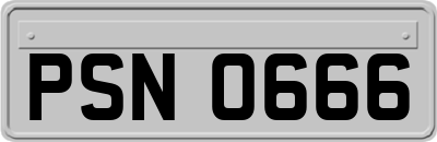 PSN0666