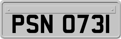 PSN0731