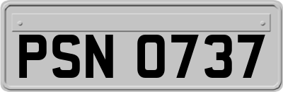 PSN0737