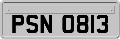 PSN0813